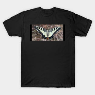 Butterfly T-Shirt